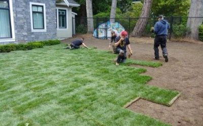 Commercial Excavation and Civil Landscaping