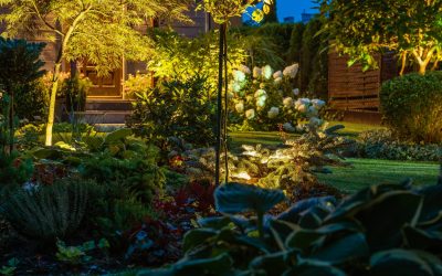 LED Lights Illuminated Small Backyard Garden Night Scenery